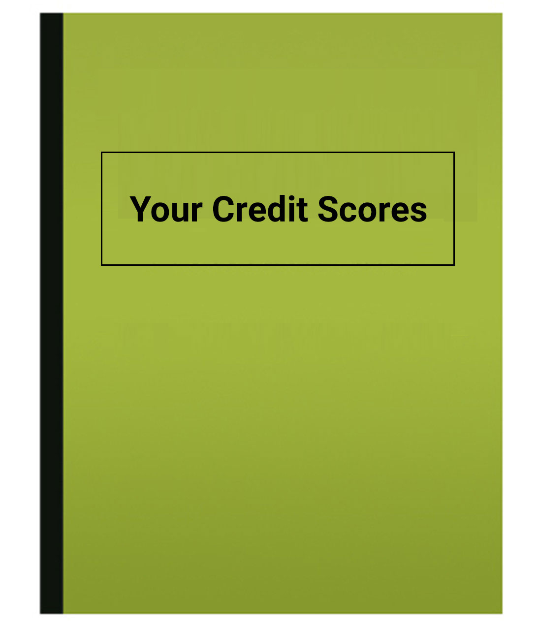 Your Credit Scores